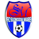  Slobozia Mare 