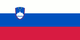  Slovenia Women's Basketball Team