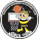  Yamanashi County Queen Bee Women's Basketball Team